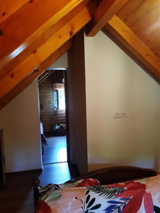 House Chalet