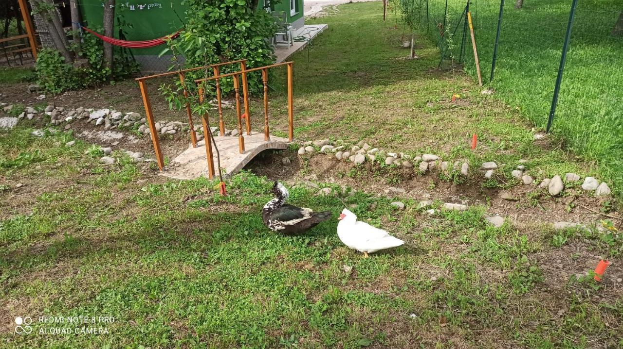 Chalet House Rijeka